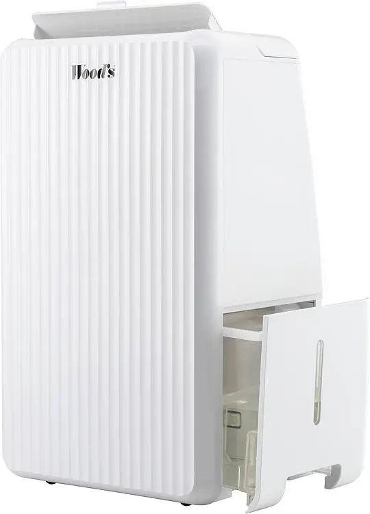 image3.webp